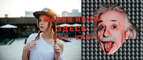 мяу мяу мука Белокуриха