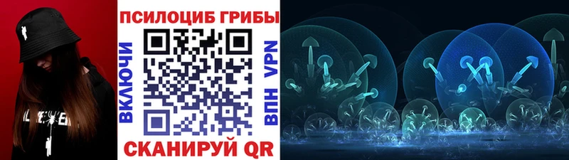 Псилоцибиновые грибы прущие грибы  Елабуга 